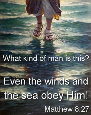 Matthew 8 Jesus is.jpg