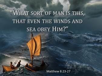 Matthew 8 who is this