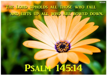 Psalm 145 14