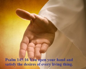 Psalm 145 16