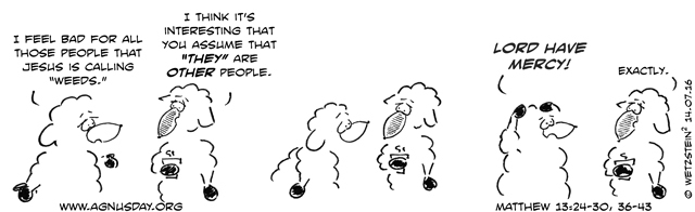 Matthew 13, sheep
