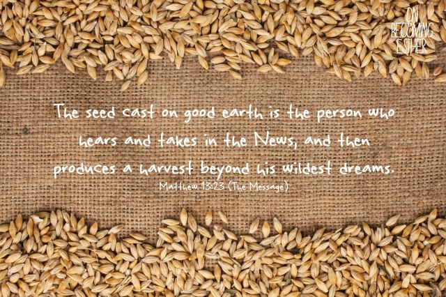 Matthew 13 sows.jpg