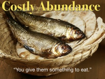 Matthew 14 cost.jpeg