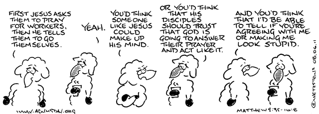 Matthew 9 cartoon