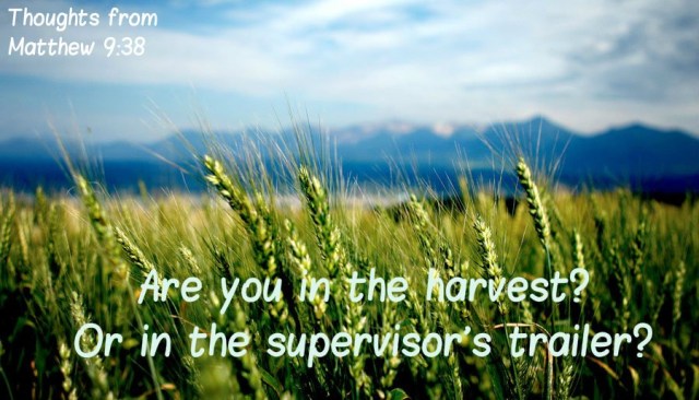 matthew-9-harvest-or-trailer.jpg