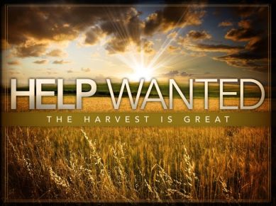 Matthew 9 help wanted