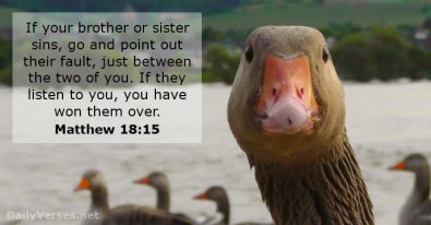 Matthew 18 15 won