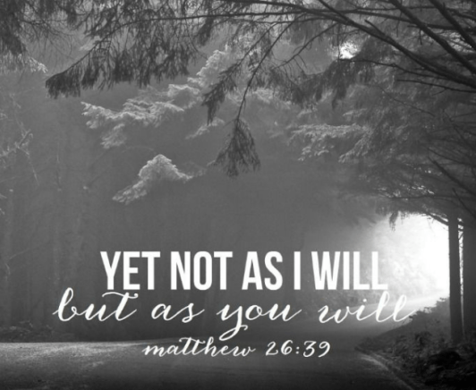Matthew 26 your will.png