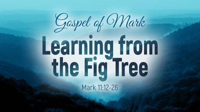 Mark 11 learning.jpg