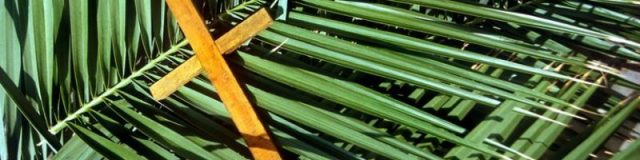 Mark 11 to the cross.jpg