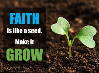 mark-4-growing-faith.jpg
