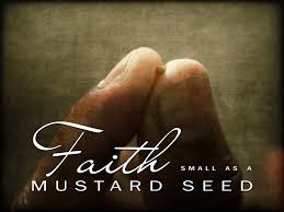 Mark 4 seed of faith.jpg