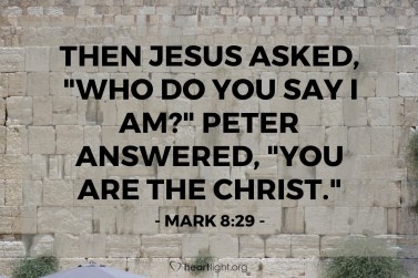 Mark 8 29