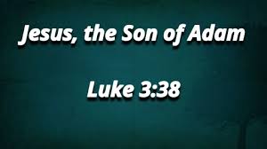 Luke 3 Son of Man