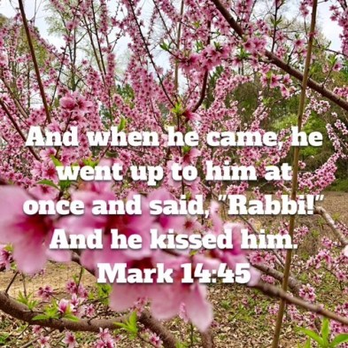 Mark 14 and he kissed him