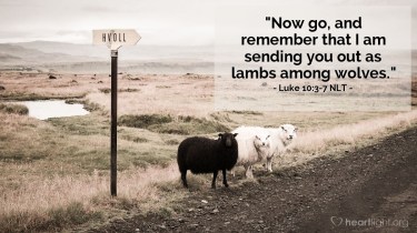 Luke 10 lambs