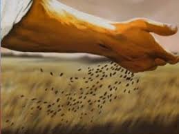 Luke 13 seeds of faith