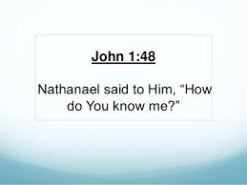 John 1 how do you know me