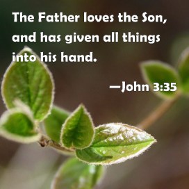 John 3 35