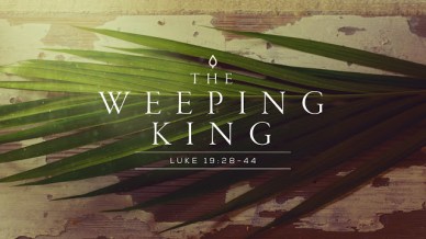 Luke 19 weeping King.jpg