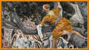 Luke 19 Zac in the tree