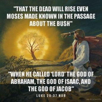 Luke 20 Moses