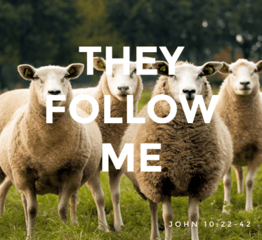 john-10-they-follow.png