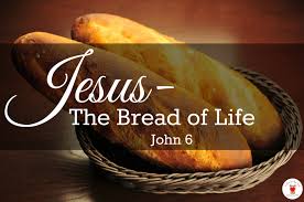 John 6 of life