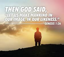 Genesis 1 in our image