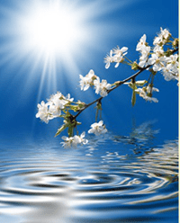 Genesis 1 sustains life