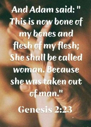 Genesis 2 23
