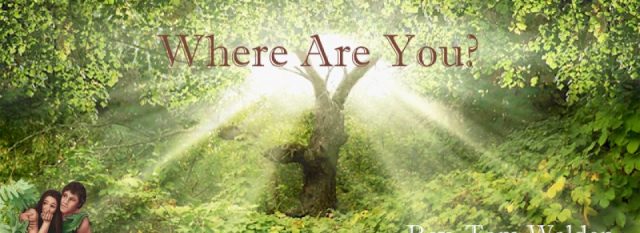 Genesis 3 where are you