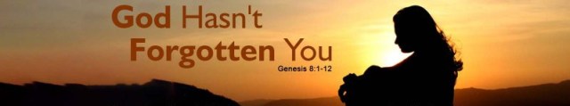 Genesis 8 God hasnt forgotten you