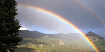 Genesis 8 promise of God