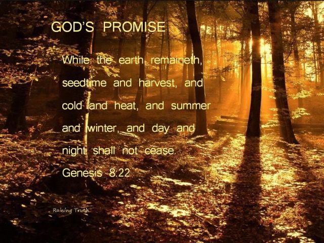Genesis 8 promise