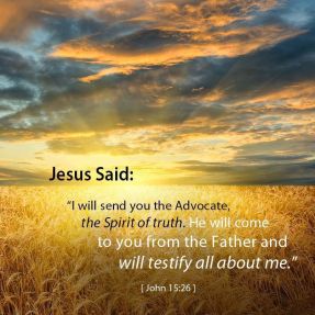 John 15 advocate