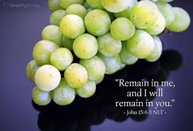 John 15 remain in me