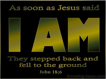 John 18 6