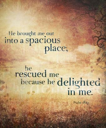 Genesis 14 rescued me