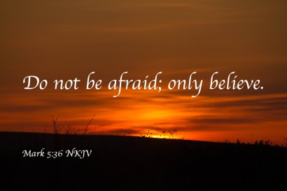 Genesis 15 only believe