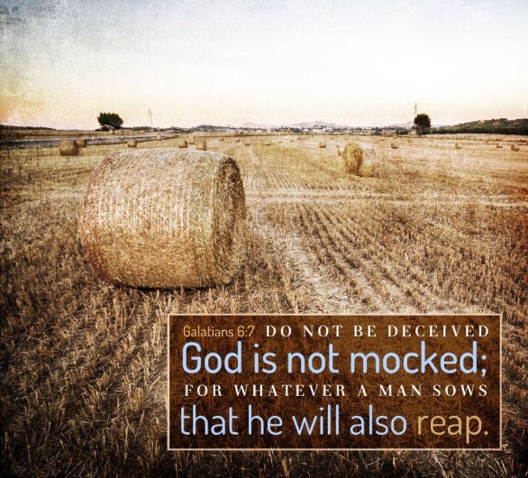 Genesis 28 reap what you sow