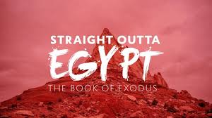 Exodus 1 out