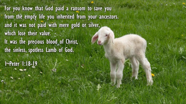 Exodus 10 lamb of God