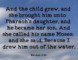 Exodus 2 drew him out