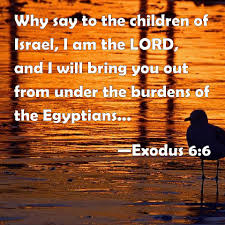 Exodus 6 bring you out