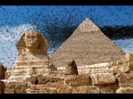 Exodus 8 flies swarm