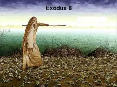 Exodus 8 Moses