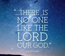 Exodus 8 no one like