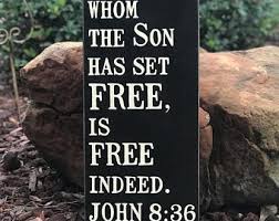 Exodus 9 Son sets free