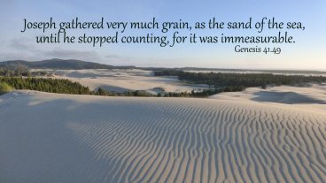 Genesis 41 blessed by God